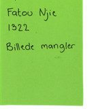 G9 page 0013