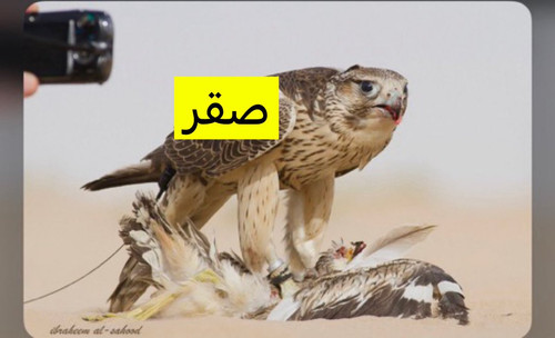G8YtFQ2WcAAdk w?format=jpg.jpg