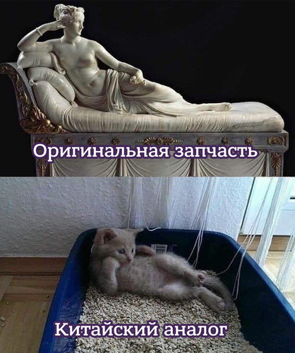 G8i6GMFXwA0ISTT.jpg