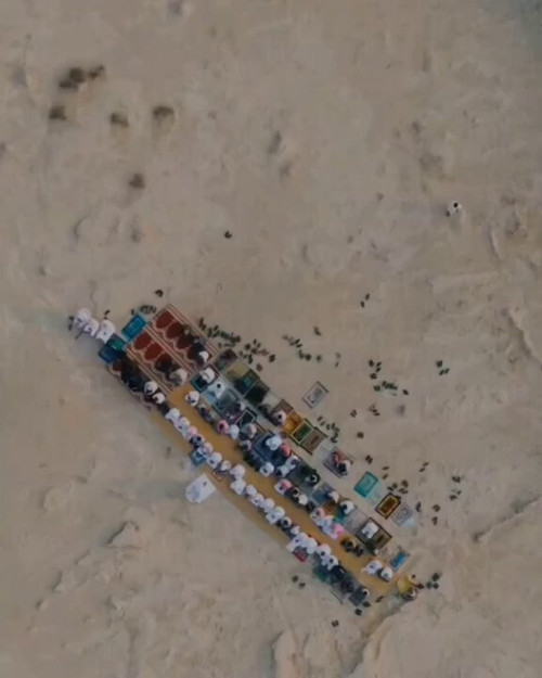 yvMY2c9P RMSxyla.jpg