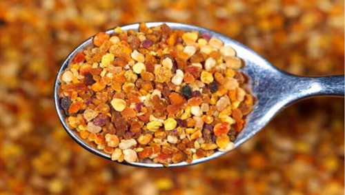 images%2Fimage 1766246649839.jpg