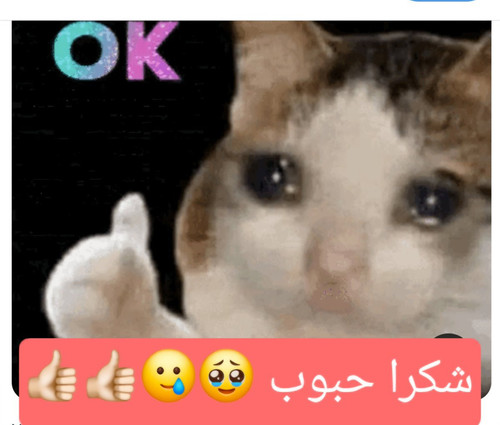 G8jOobLbMAMM9er.jpg