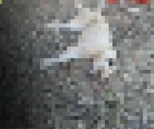G8eXoDkXUAARSUg.png