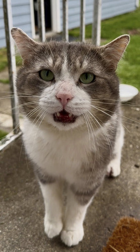 598934866 863729533311424 925368737784511955 n.jpg