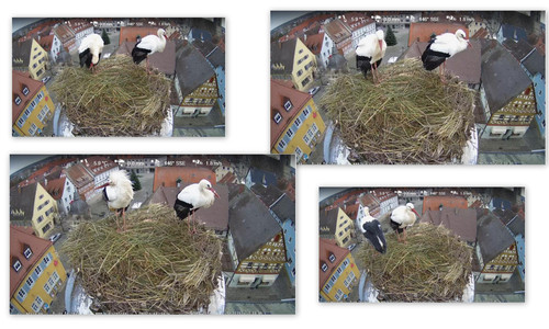 Bilder15.jpg