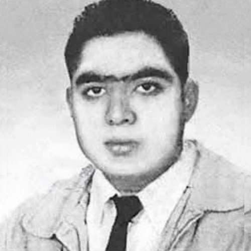 0LN bCNYkJwFP5gV.jpg