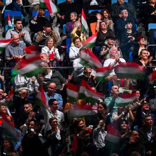 602900740 1446517890168088 1069498255411222148 n.jpg?stp=dst jpg s590x590 tt6& nc cat=101&ccb=1 7& n.jpg