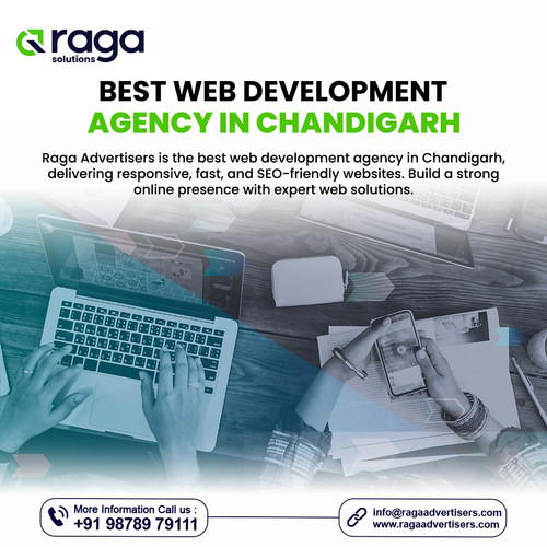 Best Web Development Agency in Chandigarh.jpg
