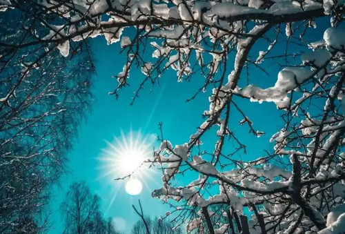 nTzYXNA9D odJcLHguib KYTckjKFrFS5vIbMckDMFUFxV3n2oXzUaND9PgyWBbmFu2ErhLP1iHanUmkYlVEEfu4vWUzjdY8ILUB.jpg