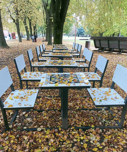 IMG 20251015 164615.jpg