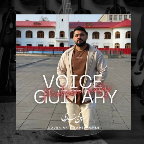 Mohsen Nataj Voice Guitary.jpg
