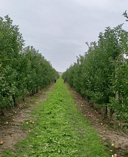 IMG 20251220 093651.jpg