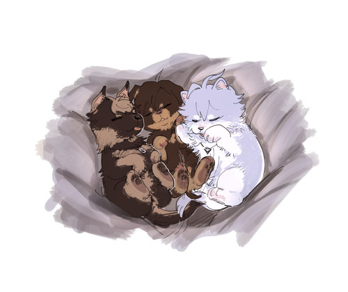 123313678 p21 master1200.jpg