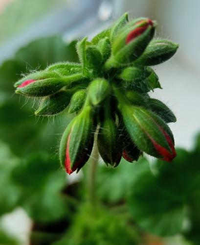 IMG 20251220 095429.jpg