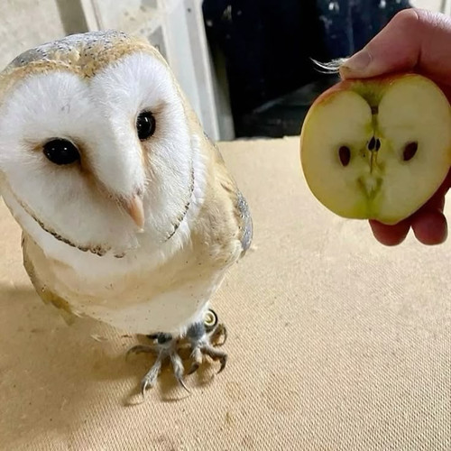 97e0d50260e562fa39a23724bc063a96 (1).jpg