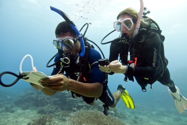 Swimming straight while checking compass