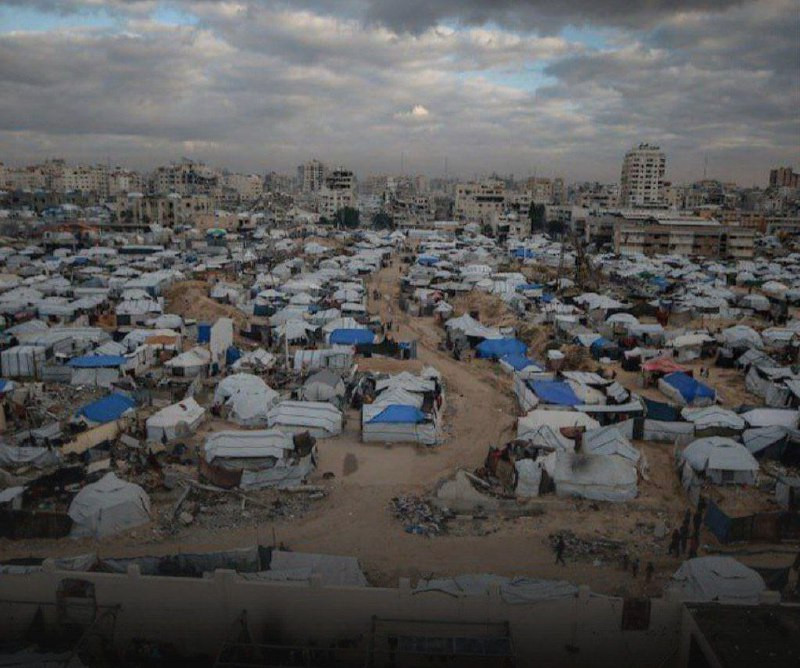 تكدس خيام النازحين على شاطئ بحر مدينة غزة، حيث يعانون من معاناة مضاعفة نتيجة ويلات الحرب وسوء الأحوال الجوية....