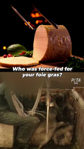 kNXrDomZWNNXZnZc.jpg