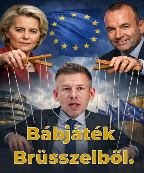 603882422 1430418198453930 3544262156536816292 n.jpg?stp=dst jpg s600x600 tt6& nc cat=110&ccb=1 7& n.jpg