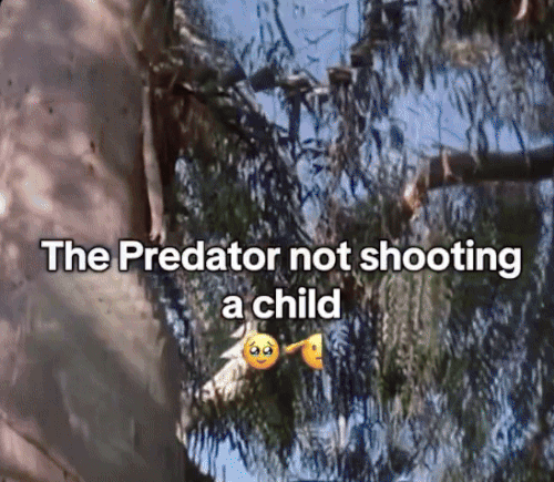 predator.gif