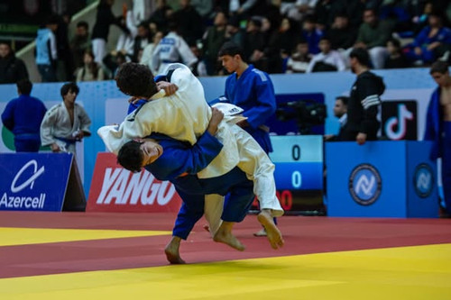 603742410 18189558505344338 8871180758658951375 n.jpg?stp=dst jpg s590x590 tt6& nc cat=102&ccb=1 7& .jpg