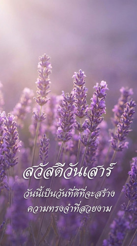 uc?id=1nTeJ7FtoeShC 1ktEUY8Wfwc98XhYS4G&export=download.jpg