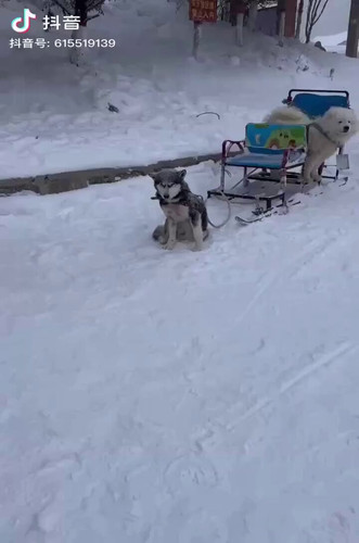 iWTG6lXw 4yswDiL.jpg