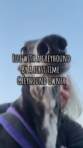 3gPysGhwY EegEq3.jpg