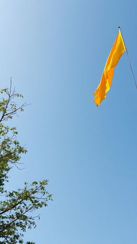 07d566b61e86.jpg