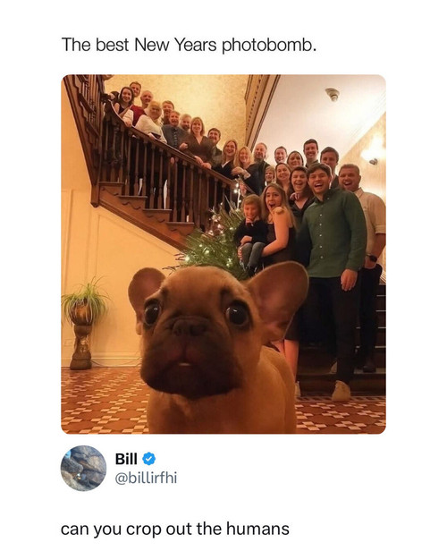 599657687 910214598244660 1100493332691034211 n.jpg