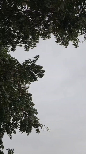 jHaLH5gNPjFNuqi .jpg