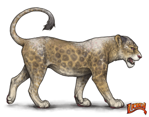 lioden wardrobe (1).png