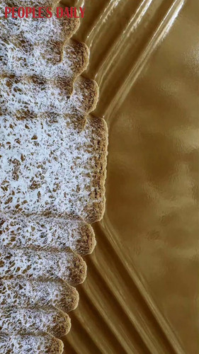 pRPlzPxEvh nLG0S.jpg