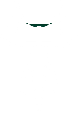 3b0e4a3f9f98.png