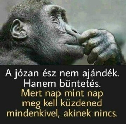 G8jCjfFXgAAbP41.jpg
