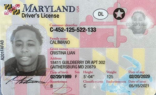 Cristina Lian Calimano license image.jpg