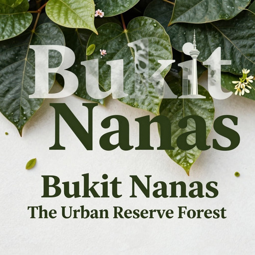 Bukit Nanas The Urban Reserve Forest.jpg