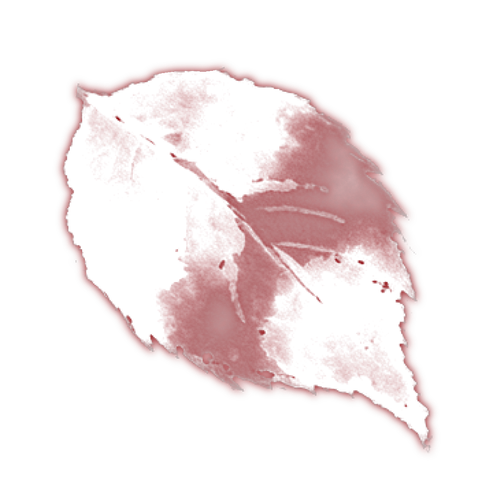 1000065055.png