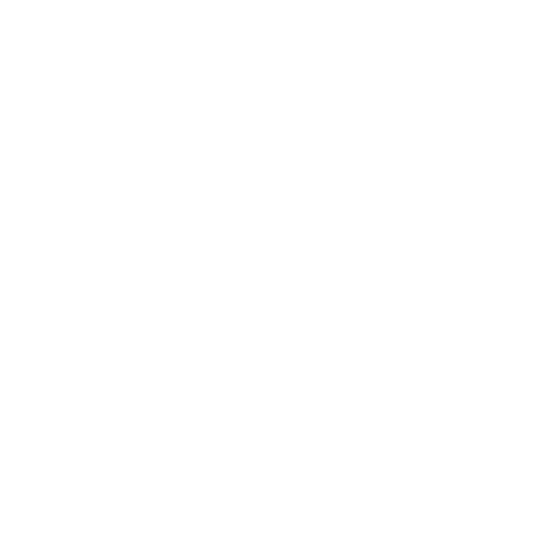 Icon Larger.png