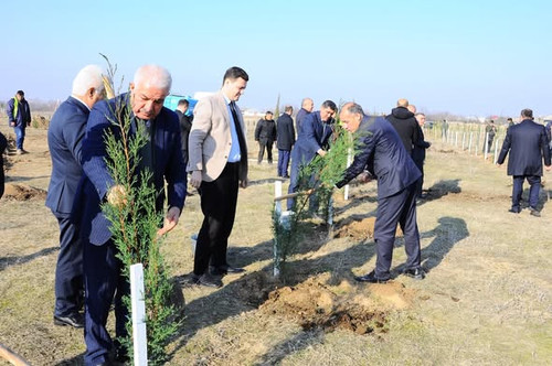 599934021 857299390389384 8167103710510770377 n.jpg?stp=dst jpg s590x590 tt6& nc cat=108&ccb=1 7& nc.jpg