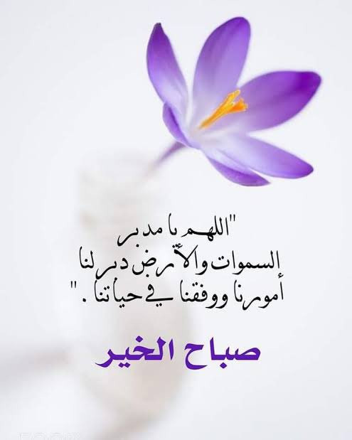 G8lZy5ebMAMt66 .jpg