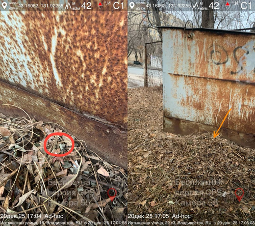 Изображение.jpg