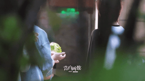 1000054541.gif
