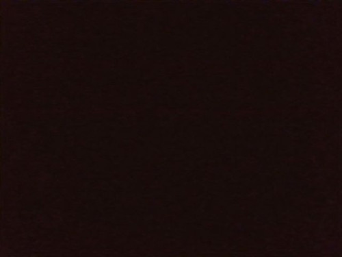 a370e008847b.jpg