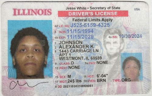 Alexander K Johnson license image.jpg