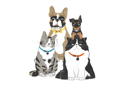 03 pet group.png