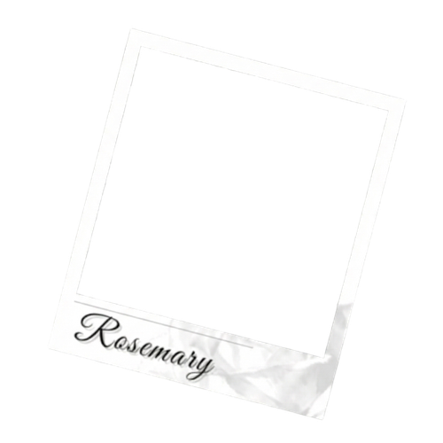 IMG 3944.png