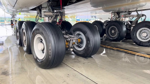 eldzphn fOZnWdl2.jpg