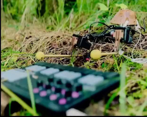 sPdrl1tKg zTwOqG.jpg