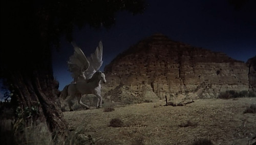 Furia de Titanes 1981 (4).jpg